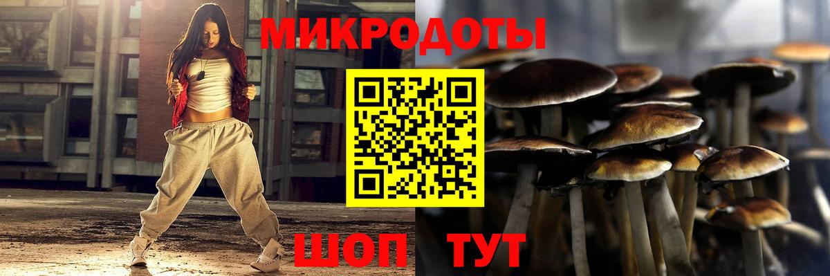 Псилоцибиновые грибы мицелий Ялта