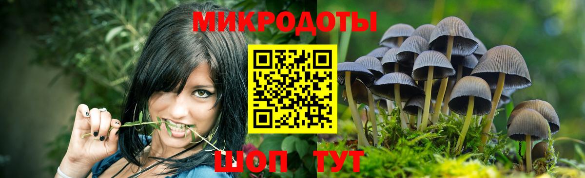 Псилоцибиновые грибы прущие грибы  цена наркотик  Вход с VPN  Ялта  Псилоцибиновые грибы ЛСД 